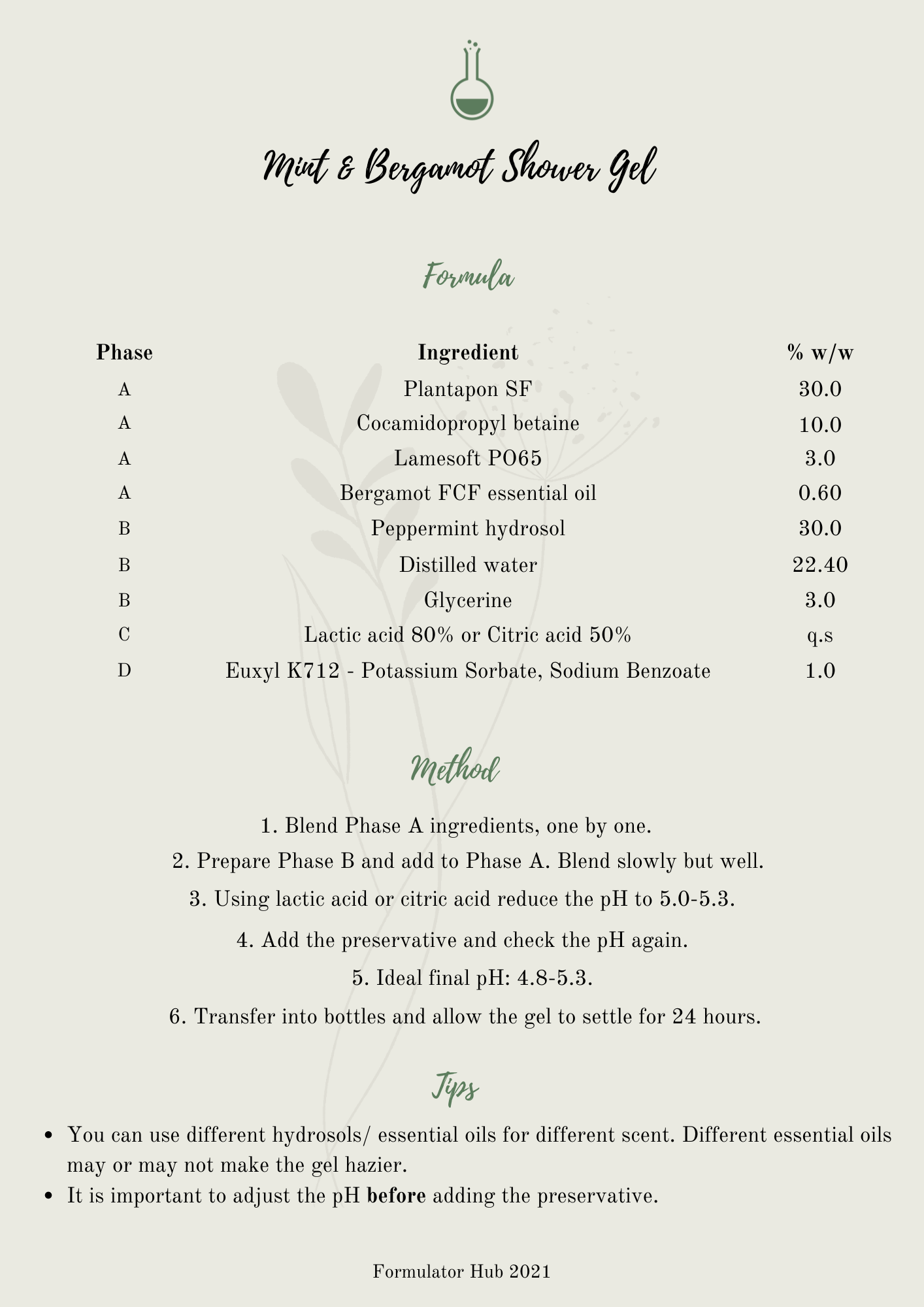 Shower best sale gel formulation